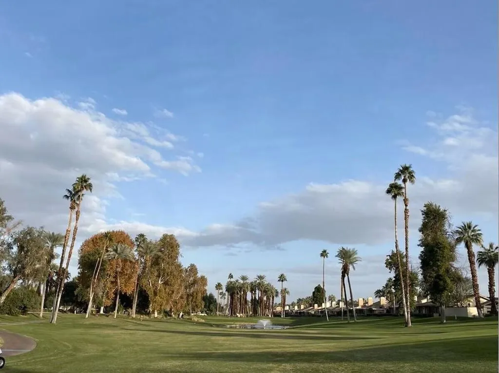 240 Serena Drive, Palm Desert, California 92260 home-pic-42