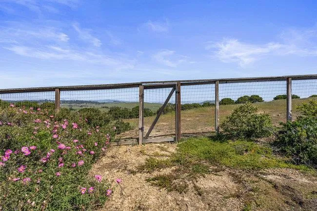 966 Calle Cruz, San Juan Bautista, California 95045