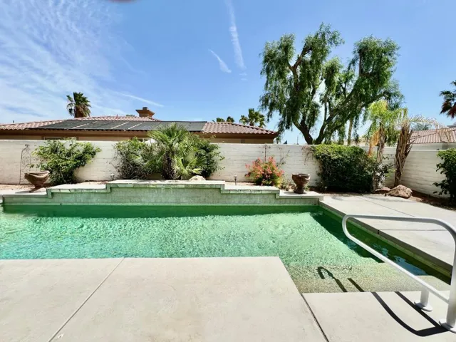 Pool/Yard