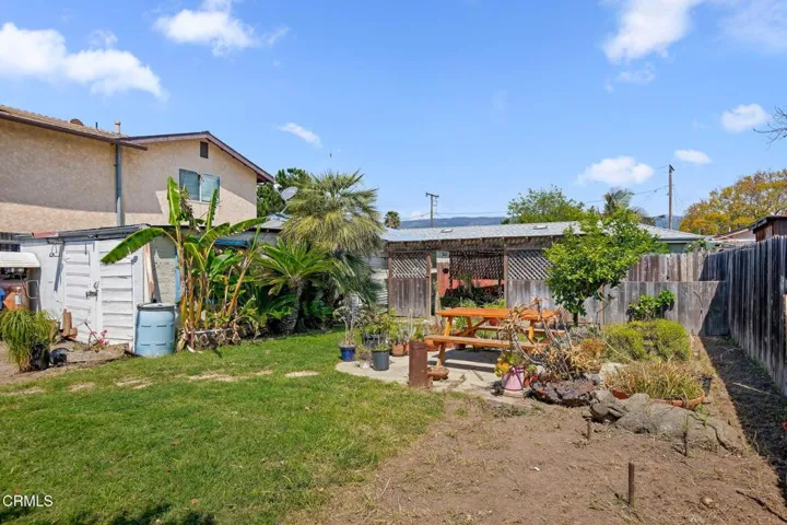 Back Yard