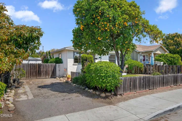 Driveway View