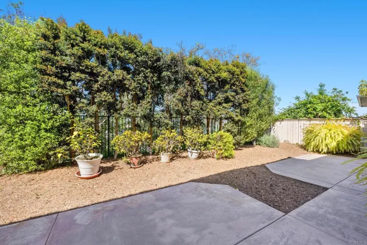 Private Backyard