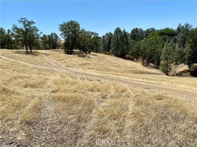 17323 Wagon Wheel Drive, Corning, California 96021