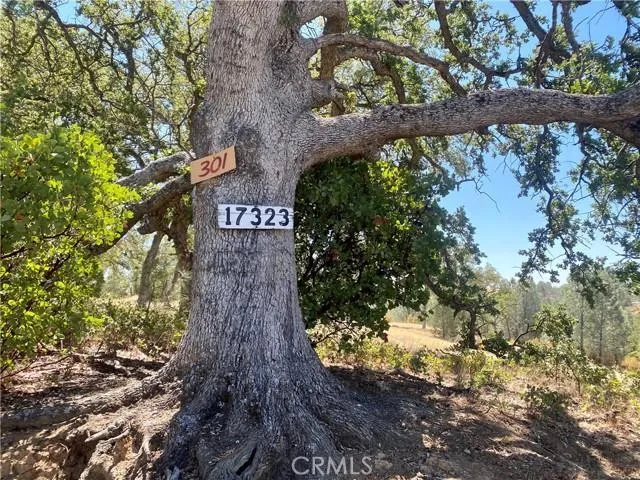 17323 Wagon Wheel Drive, Corning, California 96021