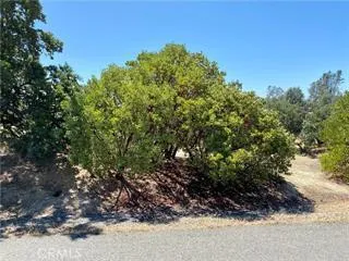 17323 Wagon Wheel Drive, Corning, California 96021