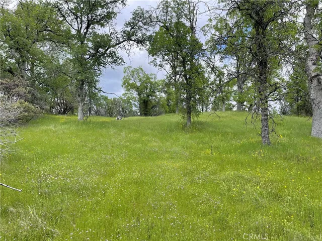 0 Moonshadow Road, Mariposa, California 95338