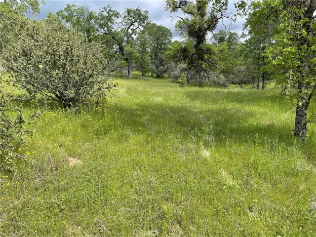 0 Moonshadow Road, Mariposa, California 95338