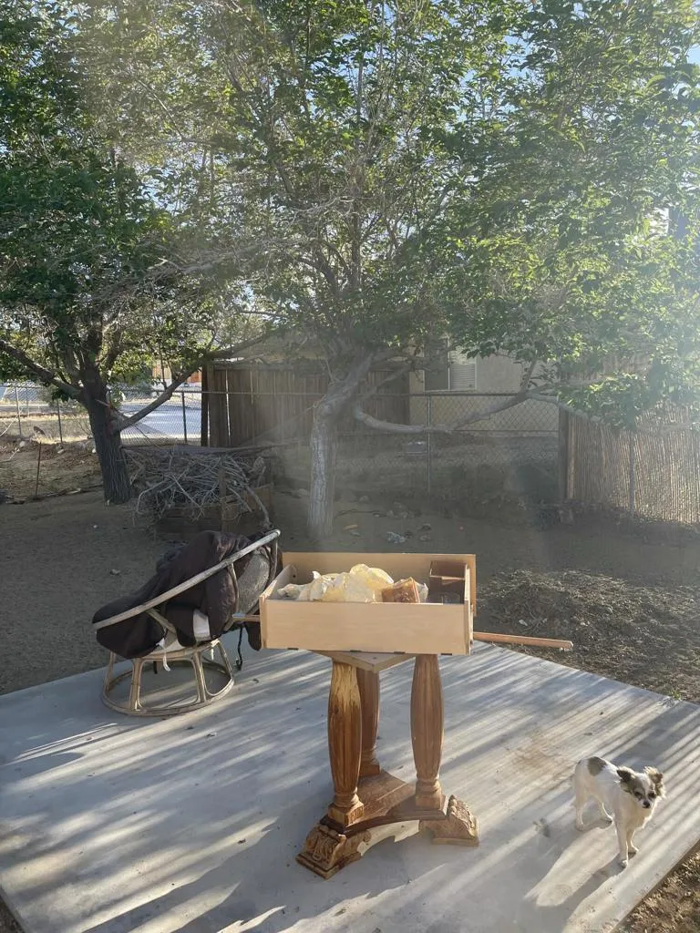 6746 Hillview Rd, Joshua Tree, California 92252 home-pic-40