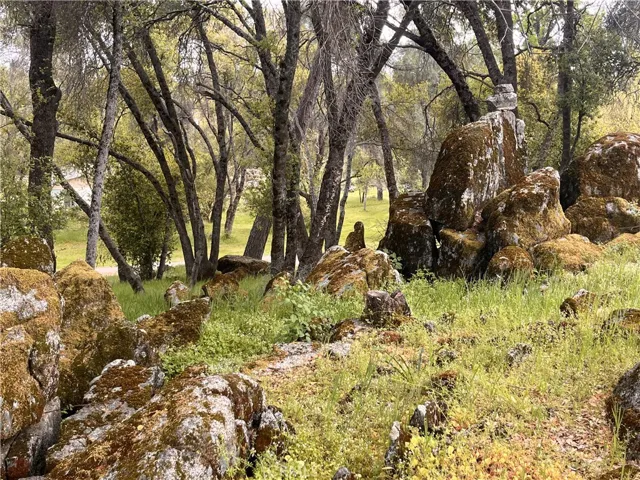 5327 Carleton Road, Mariposa, California 95338