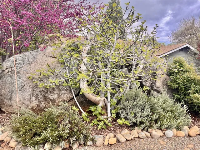 5327 Carleton Road, Mariposa, California 95338