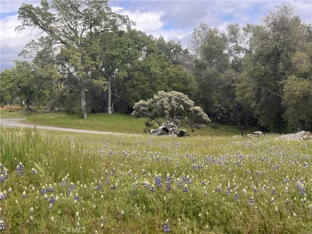 5327 Carleton Road, Mariposa, California 95338