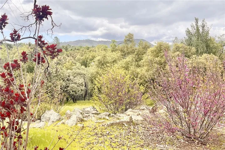 5327 Carleton Road, Mariposa, California 95338