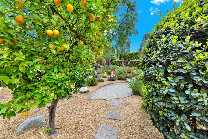 Fruit trees, walking path.