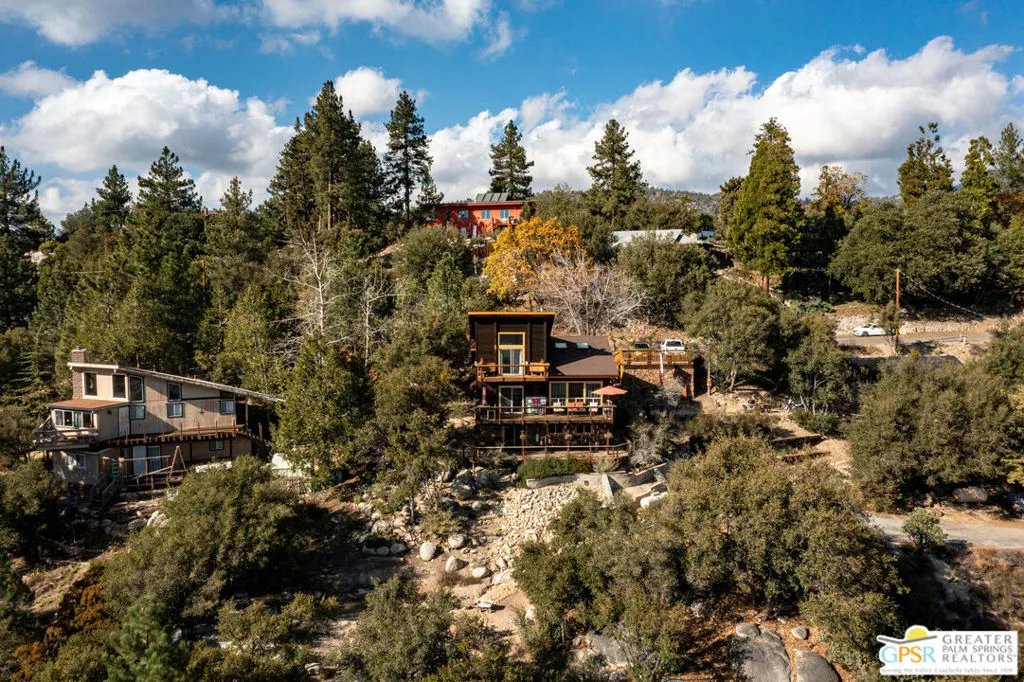 53015 Double View Drive, Idyllwild, California 92549 home-pic-0