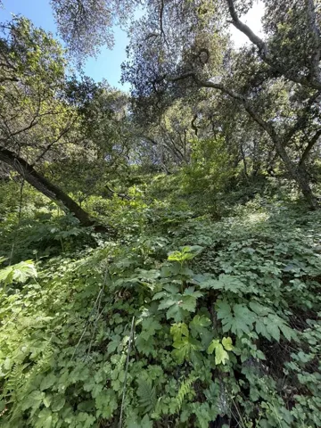 0 Bartlett Way, Belmont, California 94002 — photo 4