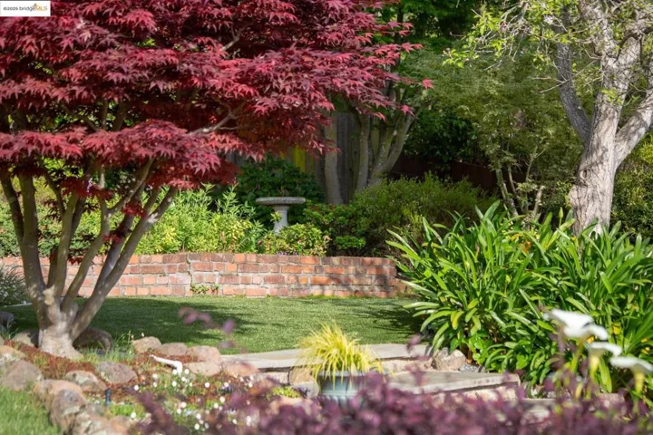 57 Domingo Ave, Berkeley, California 94705