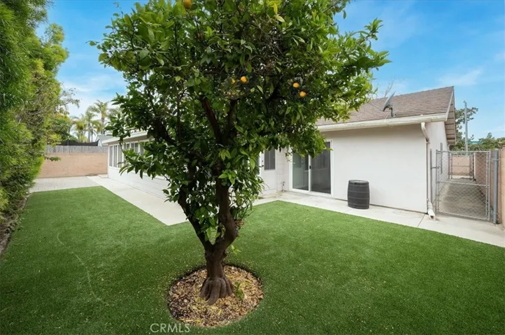 Backyard area, fenced & gated dog run area. Fruit tree and privacy.