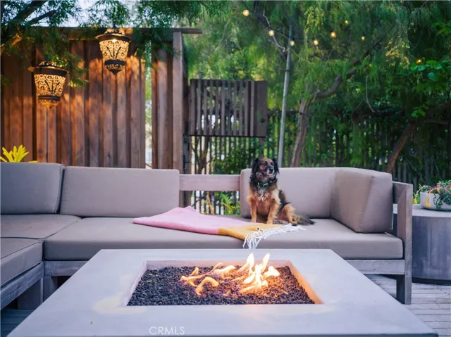 Adorable dog does not come with the home! :)
