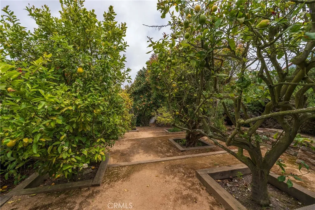 23 Country Meadow Road, Rolling Hills Estates, California 90274 home-pic-44