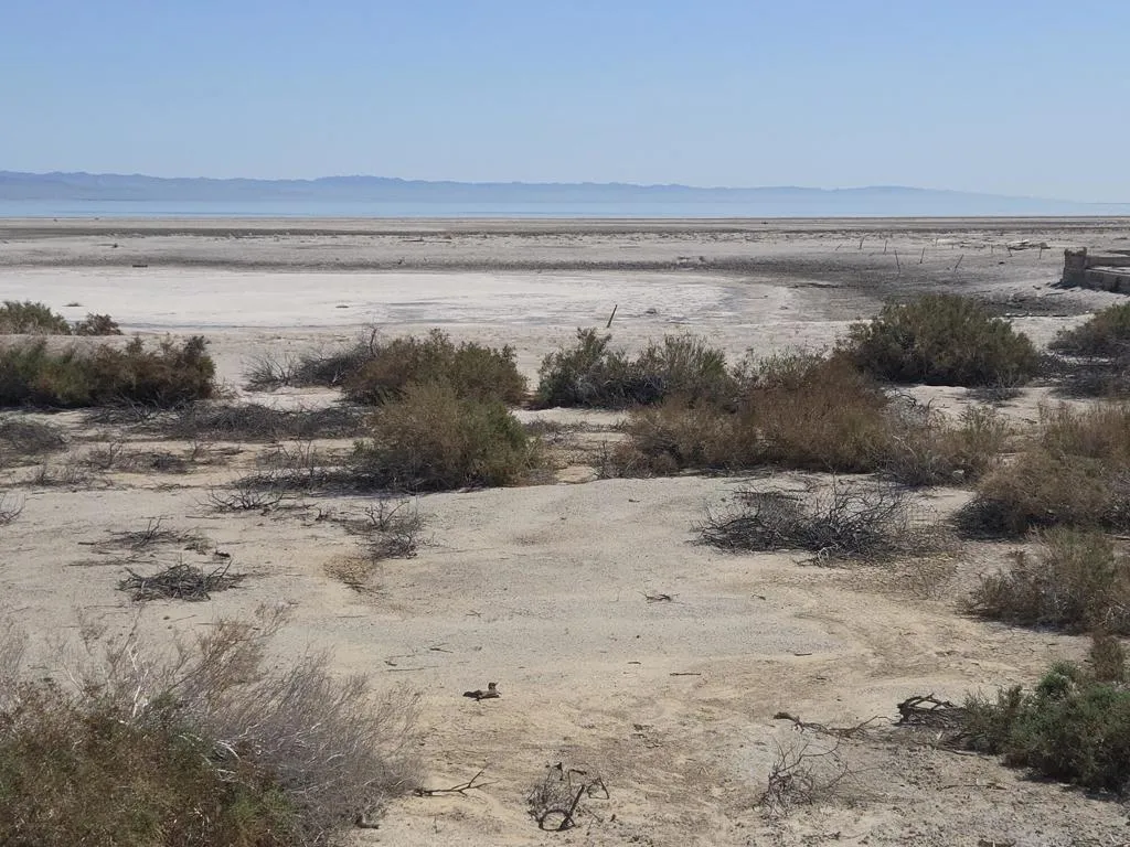 View to E along S property line