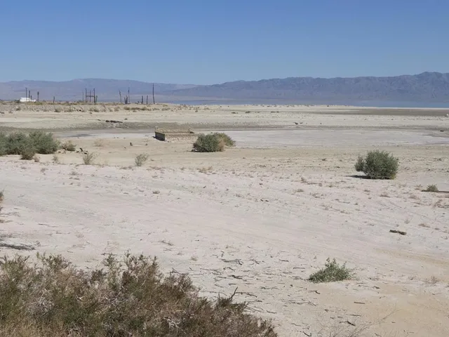 View to NE across property