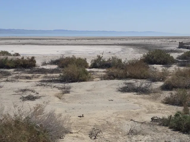 View to E along S property line