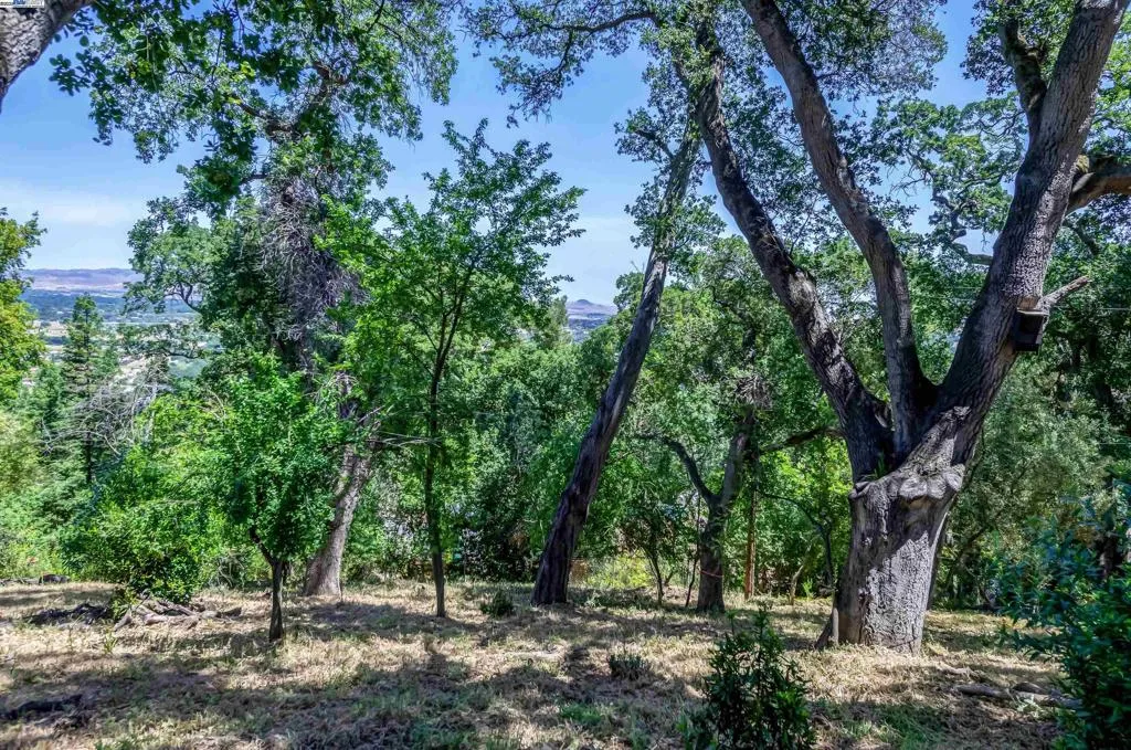 20 Fairway Lane, Pleasanton, California 94566 home-pic-24