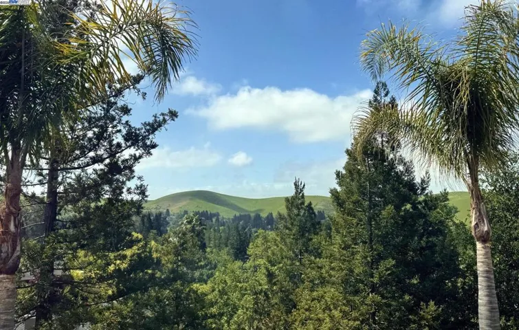144 Alta Vista Way, Danville, California 94506