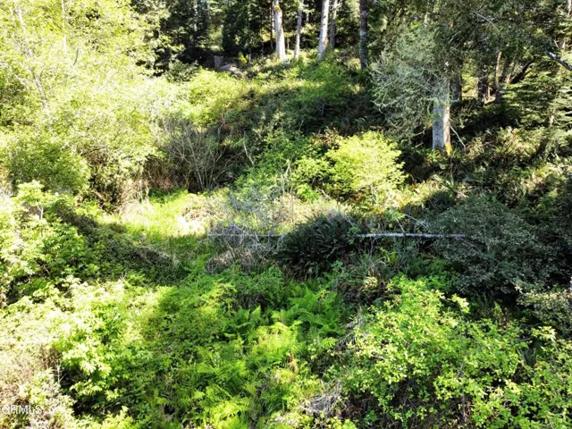 Lower access