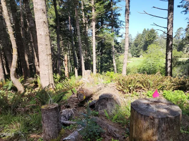 Possible building site upper