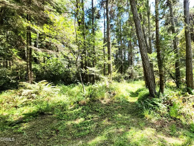 Lower access