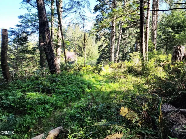 Possible building site upper