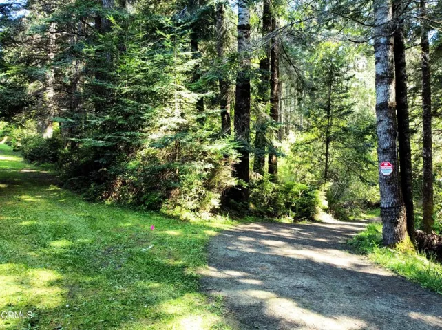 Entry Drive