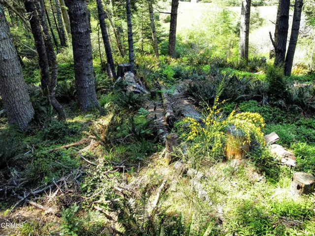 Possible building site , mid-level