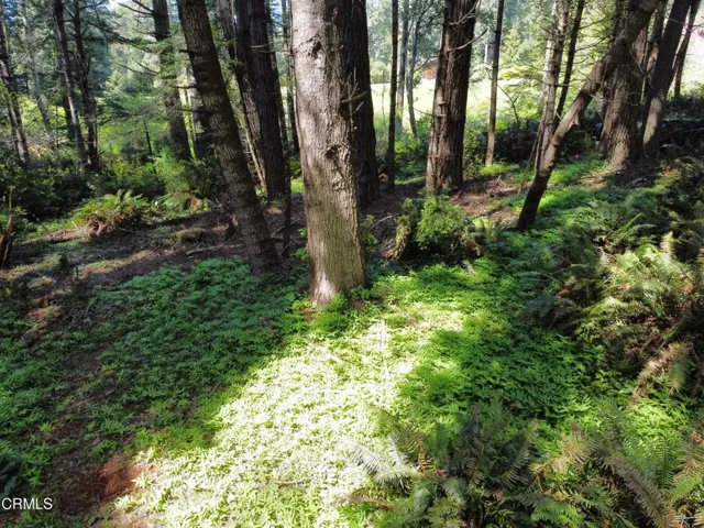 Possible building site , mid-level
