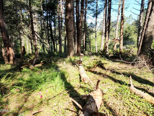 Possible building site upper