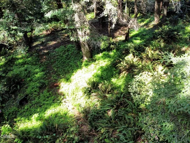Possible building site , mid-level
