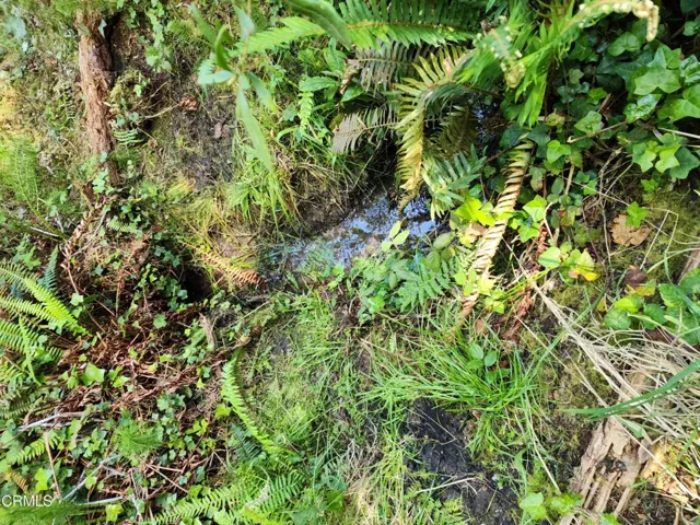 Seasonal creek