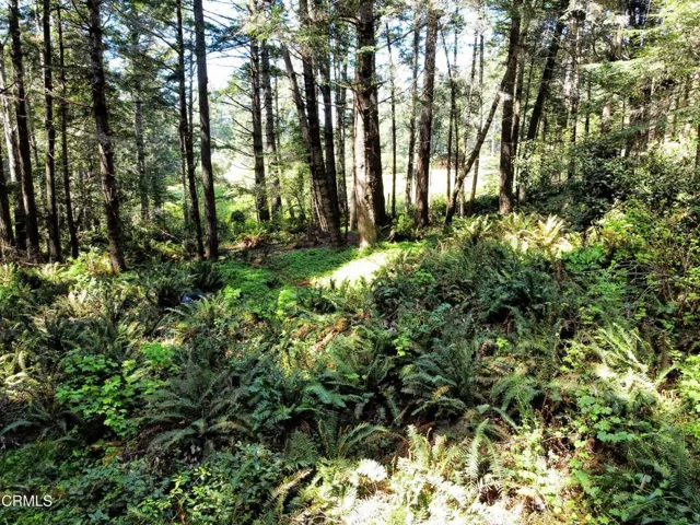Possible building site , mid-level