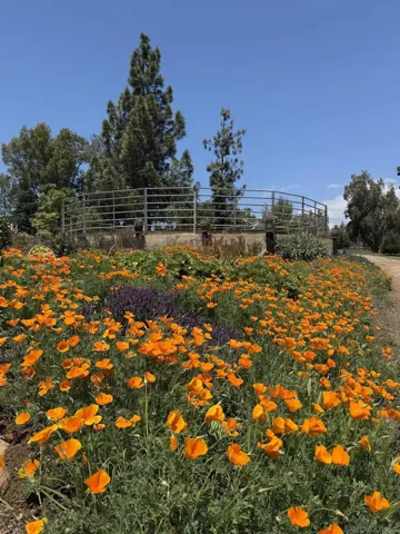 20119 Para Siempre Vista, Ramona, California 92065