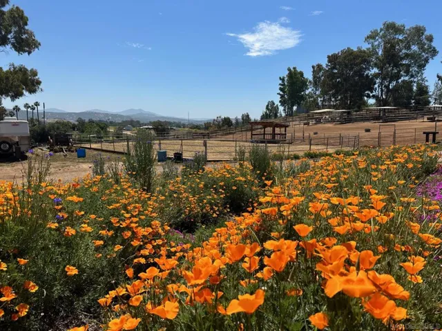 20119 Para Siempre Vista, Ramona, California 92065