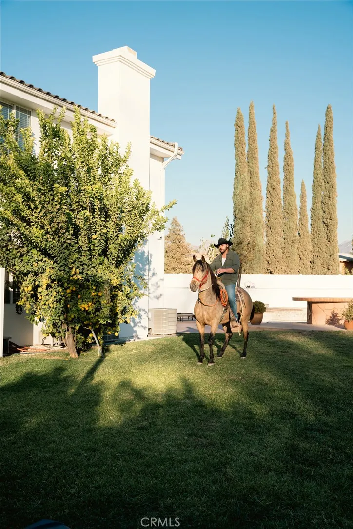 11310 Wentworth Street, Sun Valley, California 91352 home-pic-65