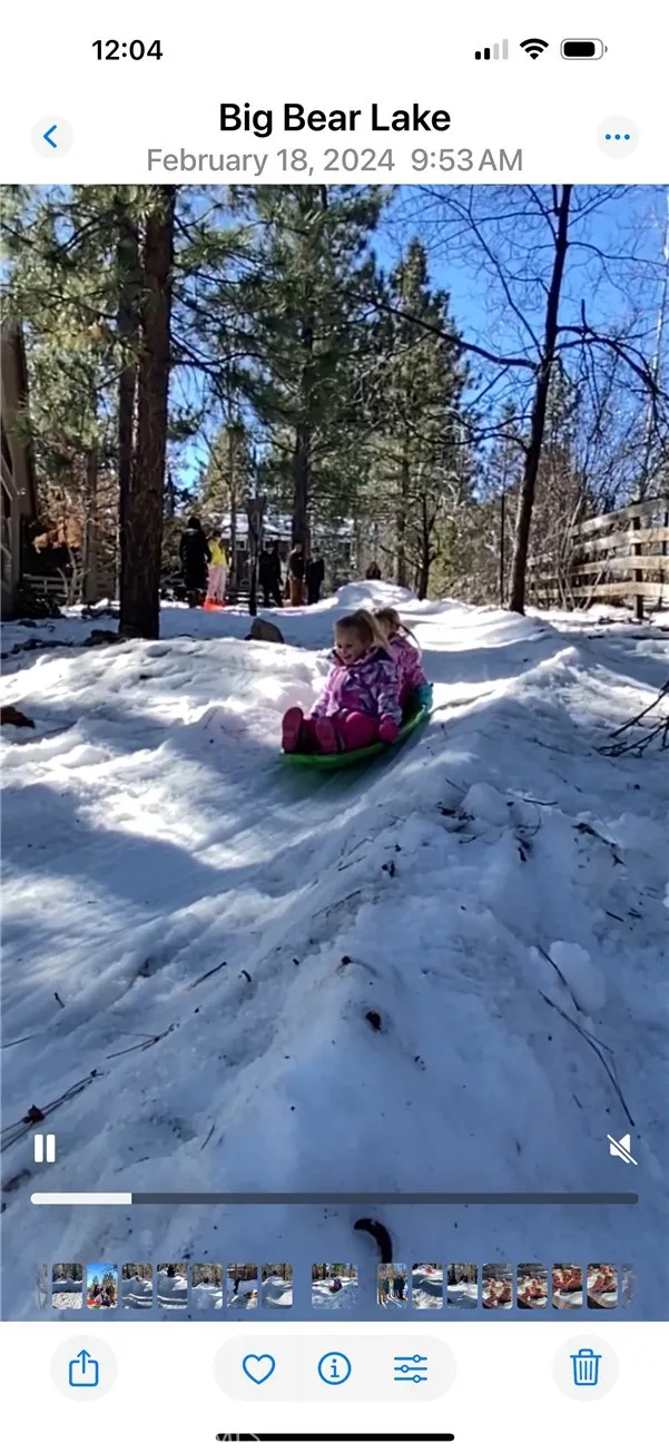 41604 Hummingbird Lane, Big Bear Lake, California 92315 home-pic-46