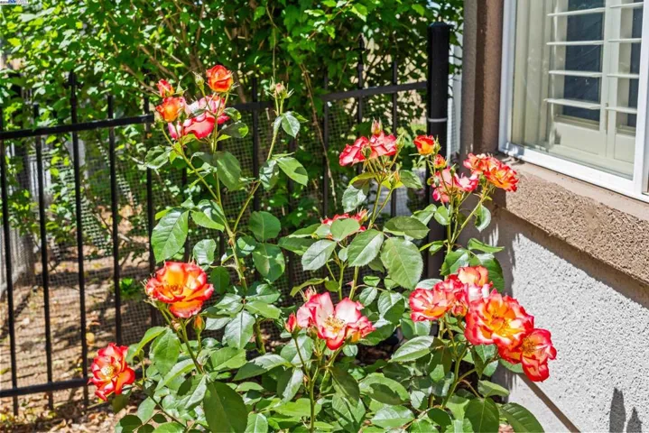 1910 Jubilee Dr., Brentwood, California 94513