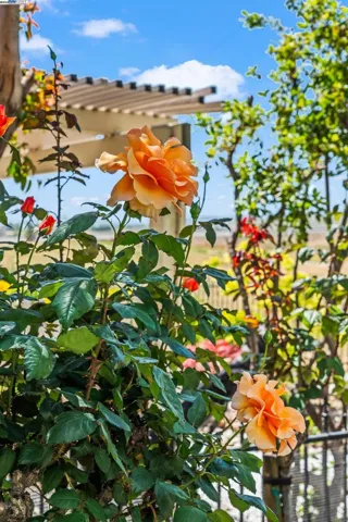 1910 Jubilee Dr., Brentwood, California 94513