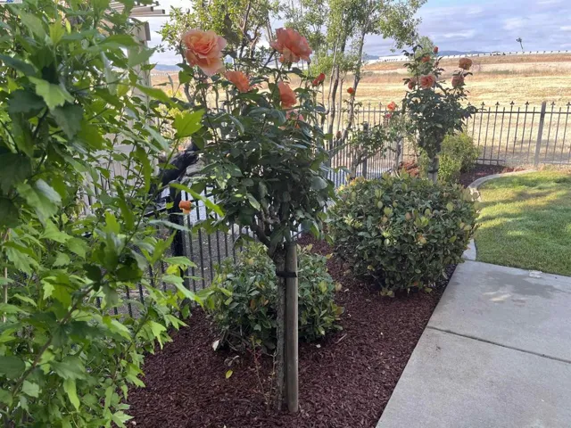 1910 Jubilee Dr., Brentwood, California 94513
