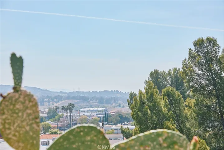 Views of the city