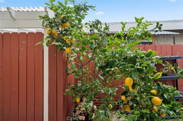 3133 Coral Avenue, Costa Mesa, California 92626