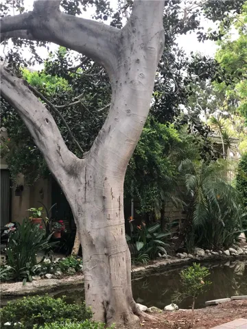 Another view from back patio.