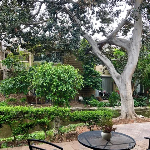 Another view from back patio.